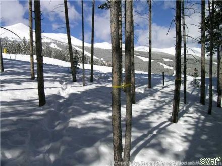 446 Timber Trail Rd photo 10