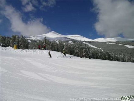 446 Timber Trail Rd photo 13