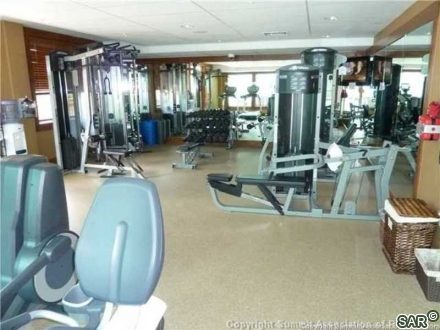 446 Timber Trail Rd photo 21