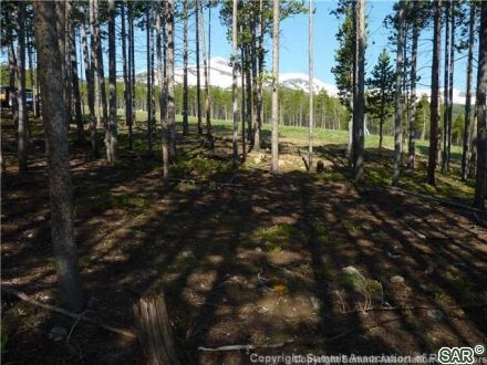 446 Timber Trail Rd photo 9