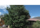 579 Bighorn Cir photo 1 579 Bighorn Cir photo 1