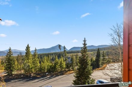 Condo in Timber Ridge Condo, Silverthorne, CO — photo 2 (MLS S377104)