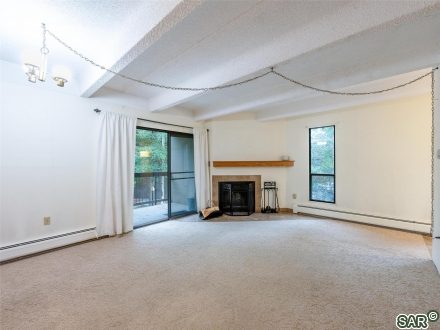 Condo in Ten Mile Island Condo, Frisco, CO — photo 3 (MLS S377113)