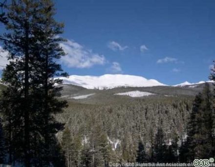 Land in Peak Seven West Sub, Breckenridge — photo 1 Land in Peak Seven West Sub, Breckenridge, CO — photo 1 (MLS S377130)