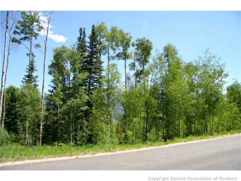 175 Easy Bend Trl, Silverthorne, CO — main photo