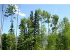 175 Easy Bend Trl photo 1 175 Easy Bend Trl photo 1