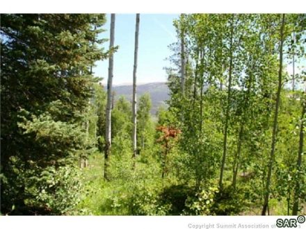Land in Eagles Nest Golf Course Sub, Silverthorne, CO — photo 2 (MLS S377153)