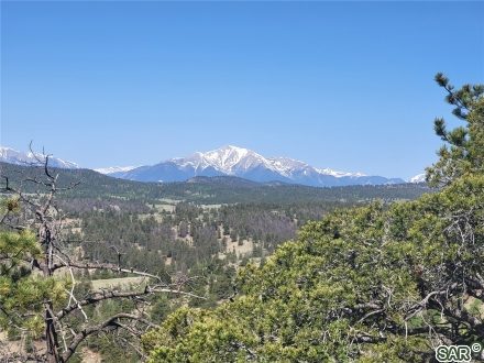 Land in Forest Park, Hartsel — photo 1 Land in Forest Park, Hartsel, CO — photo 1 (MLS S377334)