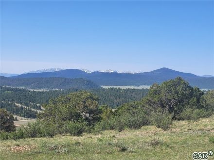 Land in Forest Park, Hartsel — photo 2 Land in Forest Park, Hartsel, CO — photo 2 (MLS S377334)