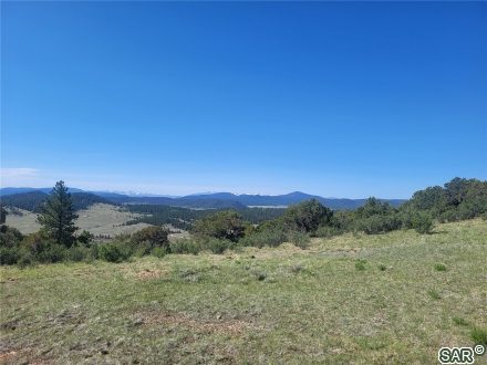 Land in Forest Park, Hartsel — photo 3 Land in Forest Park, Hartsel, CO — photo 3 (MLS S377334)