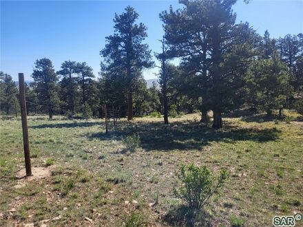 Land in Forest Park, Hartsel — photo 4 Land in Forest Park, Hartsel, CO — photo 4 (MLS S377334)