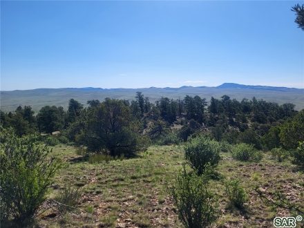 Land in Forest Park, Hartsel — photo 5 Land in Forest Park, Hartsel, CO — photo 5 (MLS S377334)