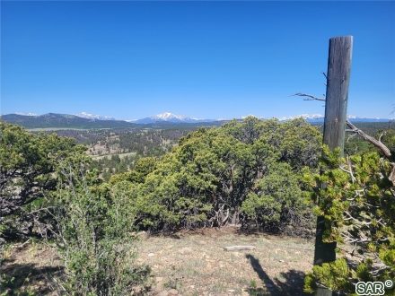 Land in Forest Park, Hartsel, CO — photo 6 (MLS S377334)