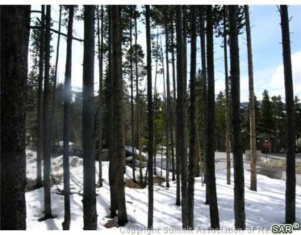 Land in Warriors Mark West Sub, Breckenridge, CO — photo 3 (MLS S377360)