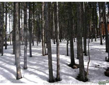 Land in Warriors Mark West Sub, Breckenridge, CO — photo 5 (MLS S377360)
