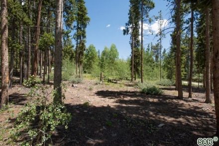 43 Blue Jay Dr photo 10