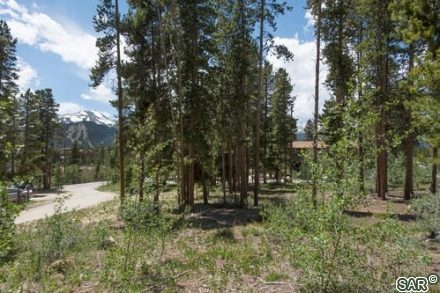 43 Blue Jay Dr photo 14