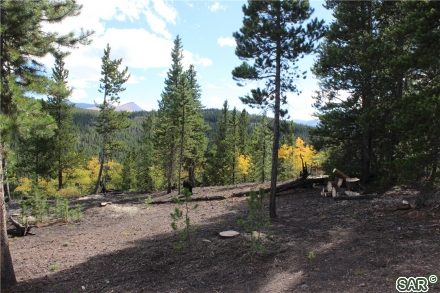 Land in Baldy Ridge Estates Pud, Breckenridge — photo 3 Land in Baldy Ridge Estates Pud, Breckenridge, CO — photo 3 (MLS S377396)