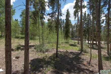 43 Blue Jay Dr photo 8
