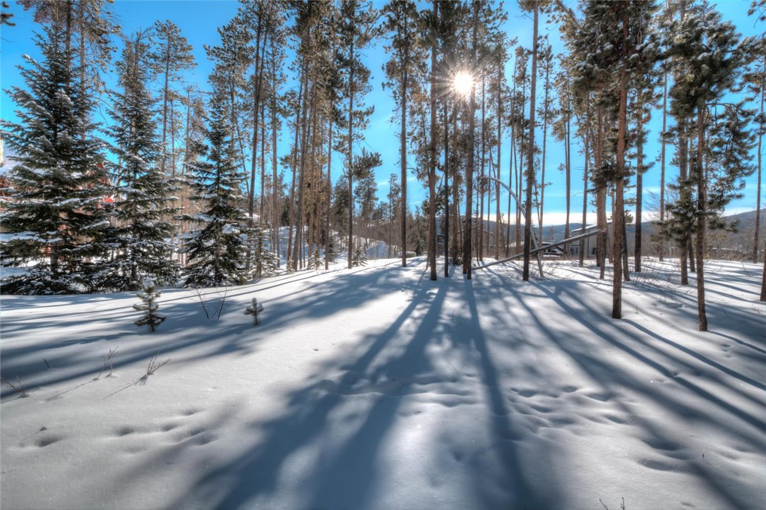 108 Primrose Pl, Frisco, CO — main photo
