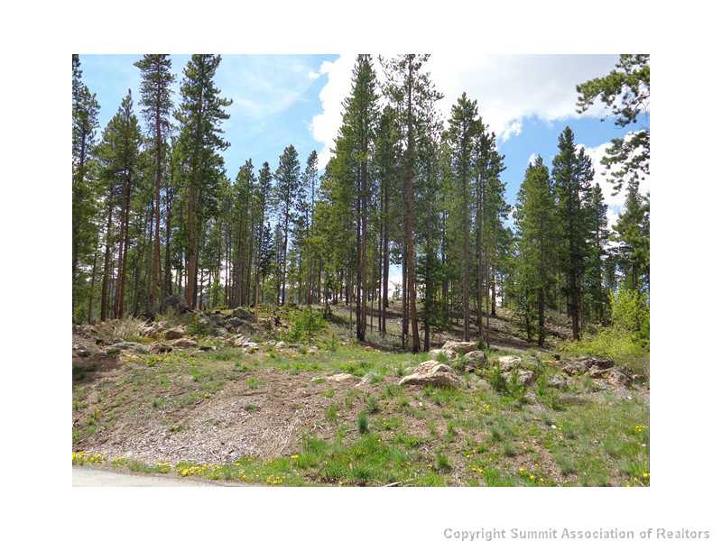 61 Iron Mask Rd, Breckenridge, CO — main photo