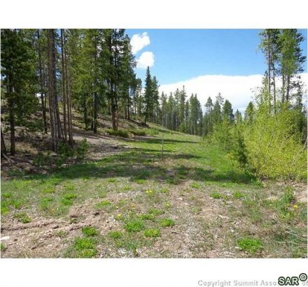 Land in Shock Hill, Breckenridge, CO — photo 2 (MLS S377419)