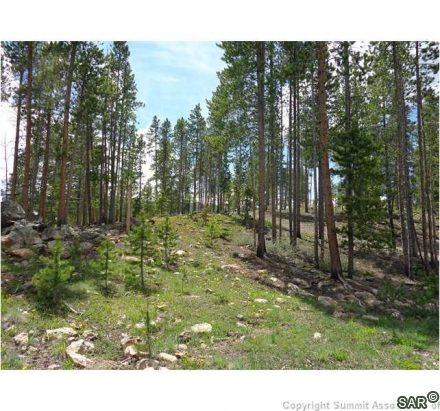 Land in Shock Hill, Breckenridge, CO — photo 3 (MLS S377419)