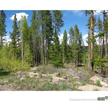 Land in Shock Hill, Breckenridge, CO — photo 4 (MLS S377419)