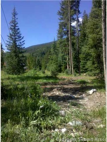 Land in Wilderness Sub, Blue River, CO — photo 1 (MLS S377449)