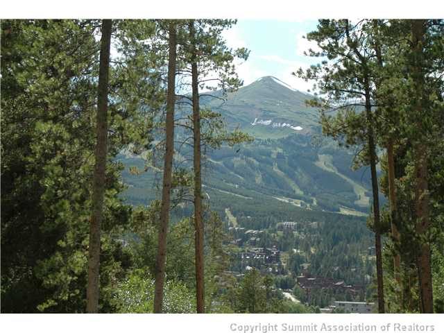 Land in Gold Flake Sub, Breckenridge, CO — photo 1 (MLS S377599)