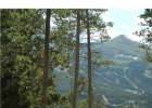 201 Pine Street photo 1