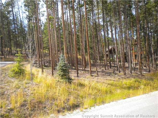 Home in Crescent Sub, Breckenridge, CO — photo 1 (MLS S377970)
