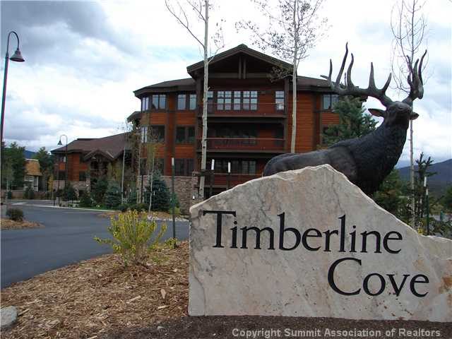 1101 9000 Divide Road 307, Frisco, CO — main photo