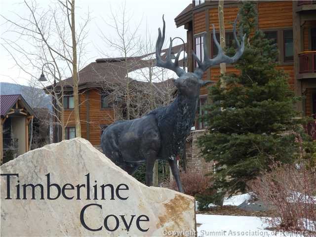 Condo in Timberline Cove Condominiums, Frisco, CO — photo 1 (MLS S378411)