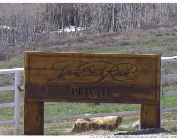 Farm in Spring Creek Ranch Sub, Silverthorne, CO — photo 1 (MLS S378465)