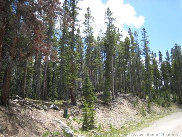 Land in Bryce Estates Sub, Blue River, CO — photo 1 (MLS S378495)