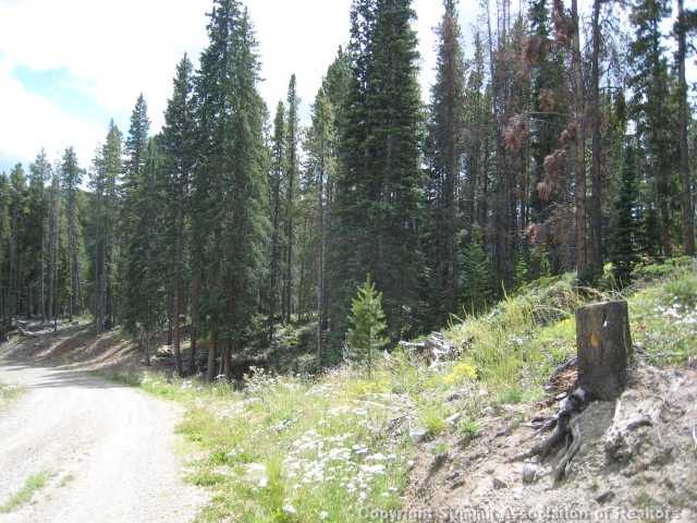 Land in Bryce Estates Sub, Blue River, CO — photo 1 (MLS S378496)
