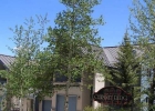 510 Kings Crown Road 510 photo 1