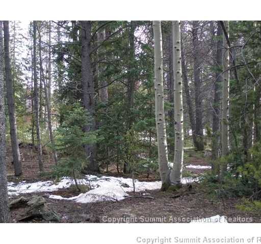 Land in Pine Vista, Breckenridge, CO — photo 1 (MLS S378718)