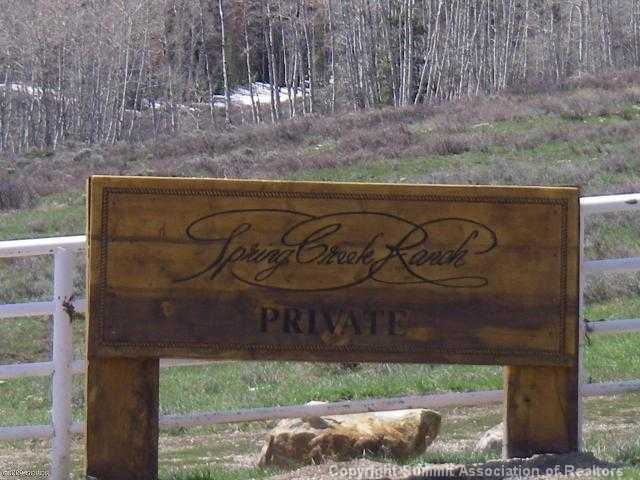 Land in Spring Creek Ranch Sub, Silverthorne, CO — photo 1 (MLS S378744)