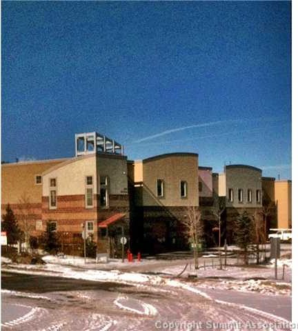 220 Buffalo Mountain Drive, Silverthorne, CO — main photo