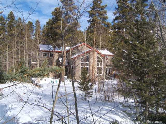 Home in Peaks Subdivision, Breckenridge, CO — photo 1 (MLS S379141)