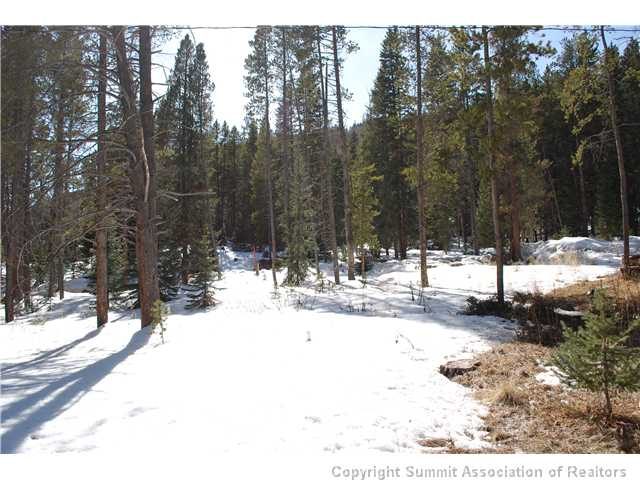265 97 Circle, Breckenridge, CO — main photo