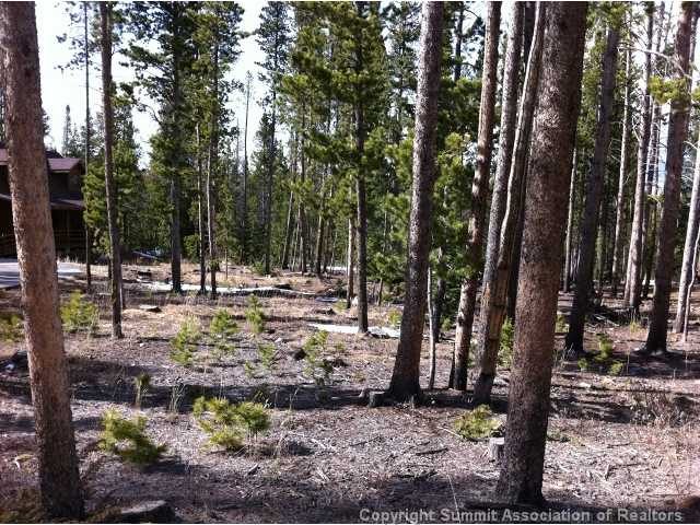 Land in Pine Vista, Breckenridge, CO — photo 1 (MLS S379604)