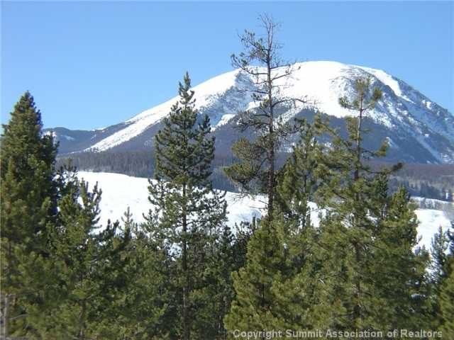Land in Ptarmigan Trail Estates Sub, Silverthorne, CO — photo 1 (MLS S379671)