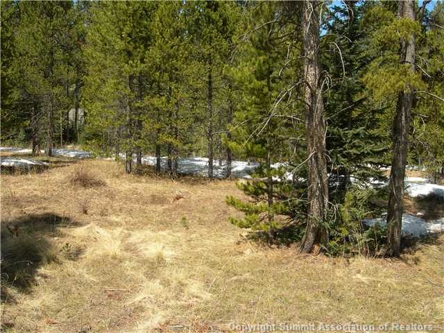 Land in Sherwood Forest Sub, Breckenridge, CO — photo 1 (MLS S379675)