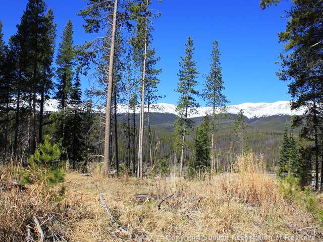 129 Fletcher Ct. Court, Breckenridge, CO — main photo