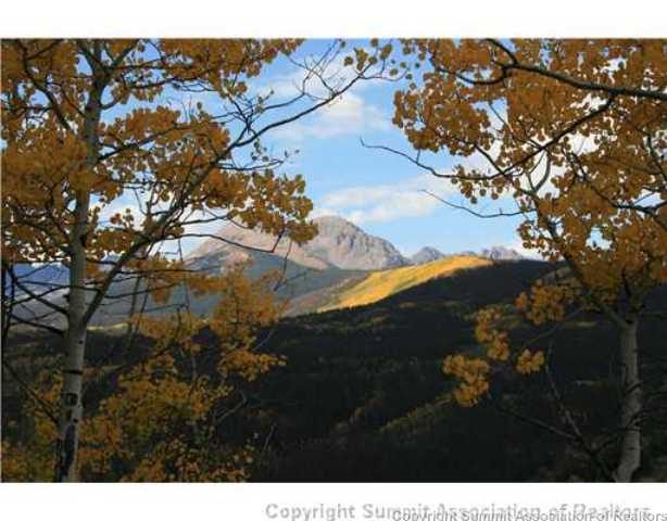 Land in Metes And Bounds - Wldsv, Silverthorne, CO — photo 1 (MLS S380067)