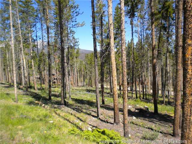 56 Golden Age Drive, Breckenridge, CO — main photo