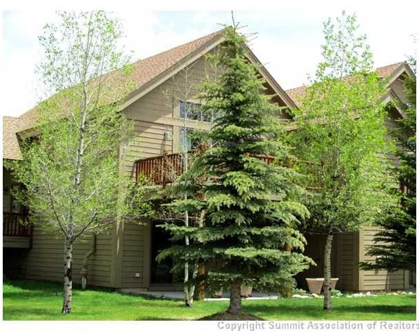 Duplex in Blue River Run Townhomes, Silverthorne, CO — photo 1 (MLS S380446)